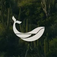 Festival Internacional de Cine y Creatividad de Los Cabos